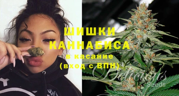 трава Переславль-Залесский
