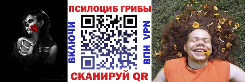 OMG tor  Александровское  Галлюциногенные грибы Magic Shrooms 